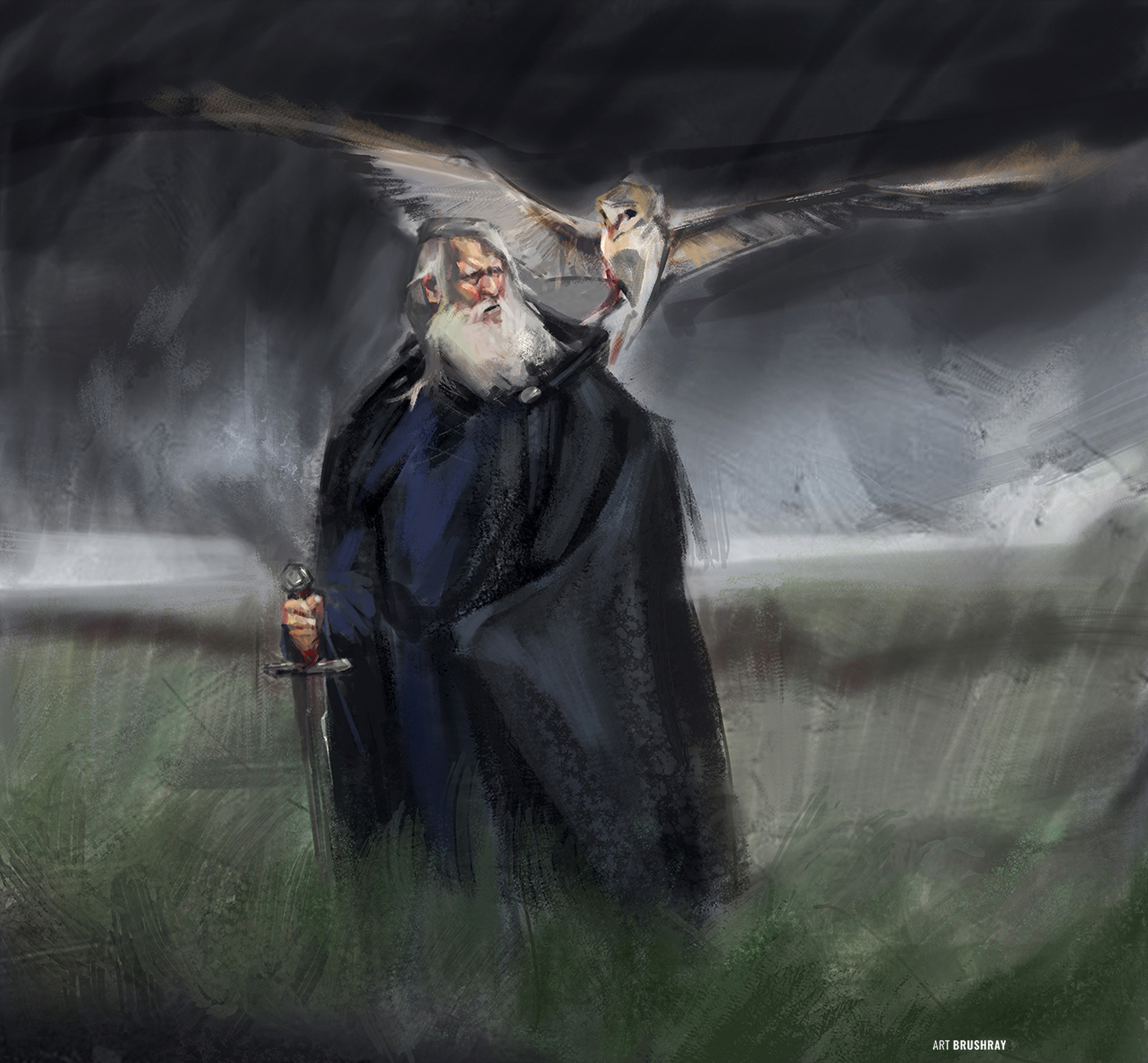 Field watch by Dmitry Brushray